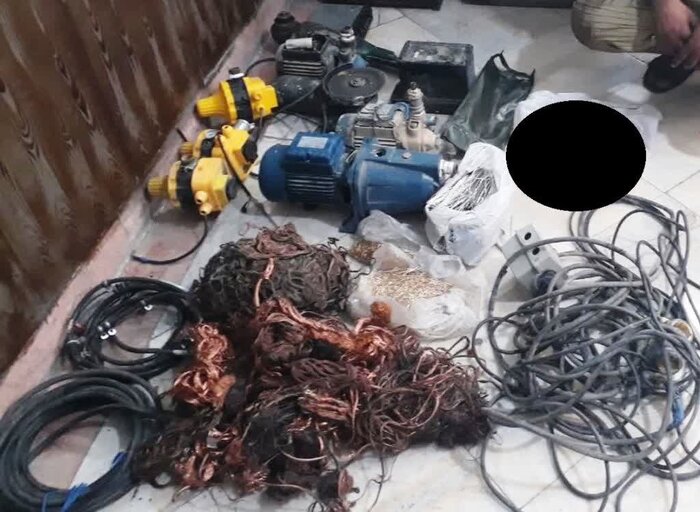 زورگیر و سارق شهرپرند بازداشت شد