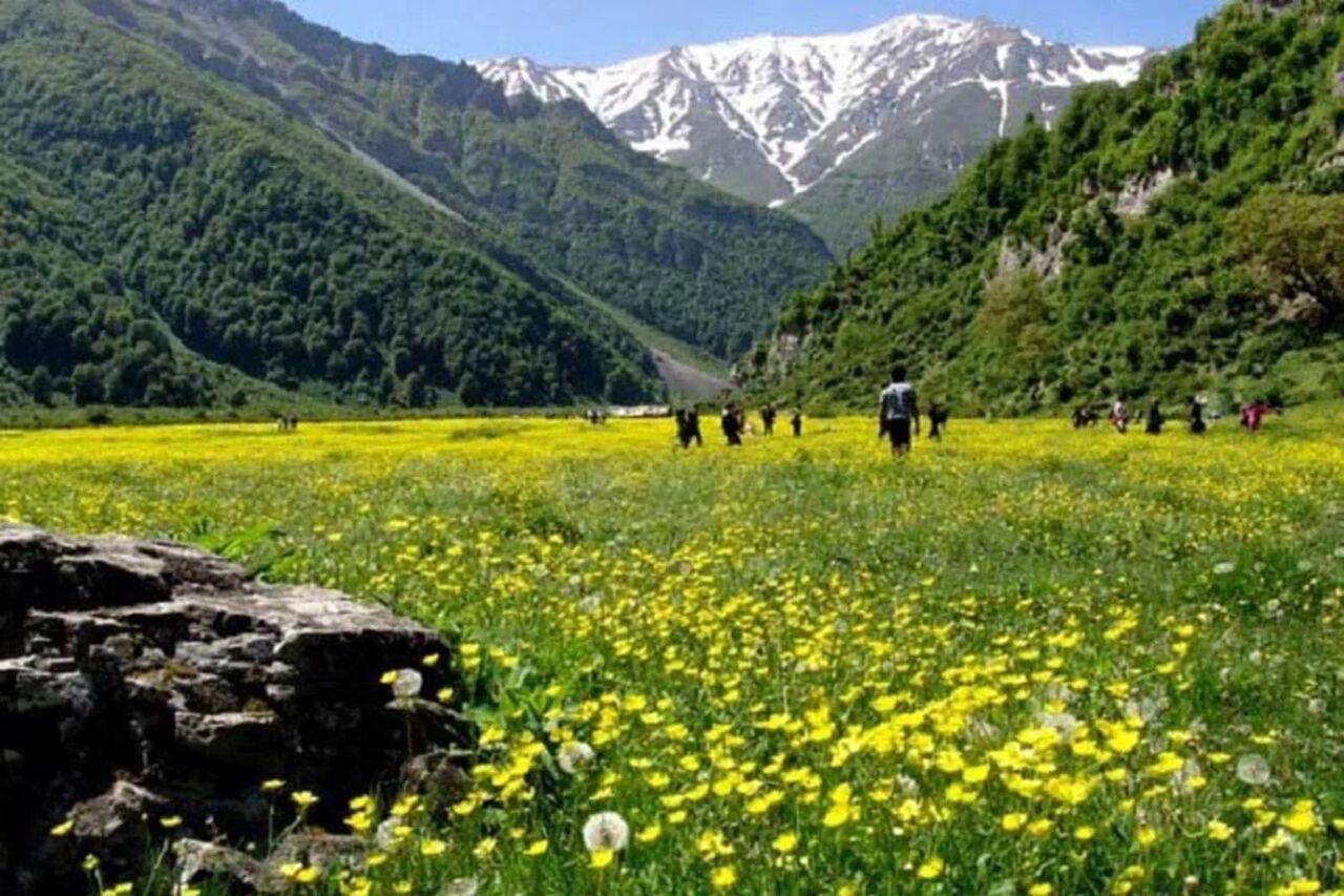 فیلم| دشت دریاسر تنکابن در حسرت گردشگری مسئولانه