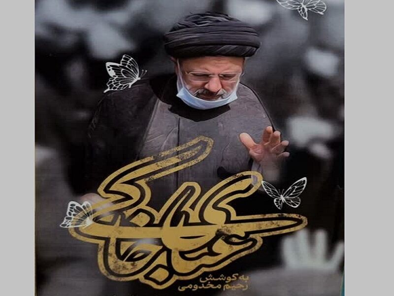 خاطرات مردمی از شهدای خدمت کتاب شد
