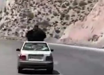 بدلکاری یک زن روی پراید در حال حرکت برای جذب فالوور