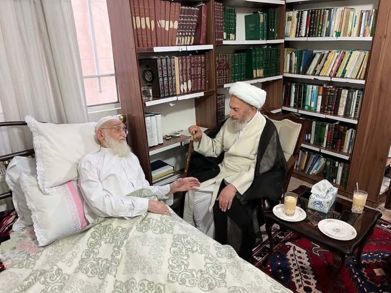 عیادت آیت الله سبحانی از آیت الله نوری همدانی