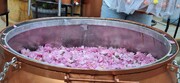 آغاز به کار جشنواره ملی گلابگیری و سوغات در کرج+فیلم