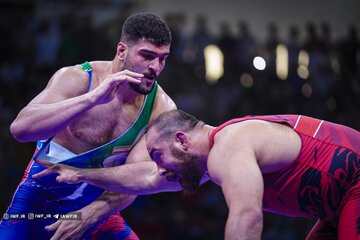 برزگر: بهتر بود رقابت زارع و معصومی در خارج از ایران برگزار شود/ داوران هم اشتباه دارند