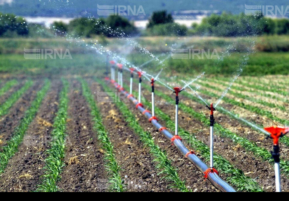 زخم عمیق چاه‌های غیرمجاز بر سیمای آب و کشاورزی همدان
