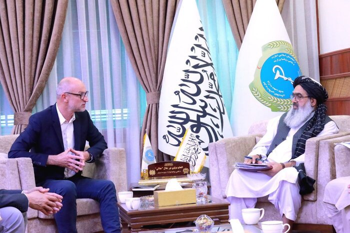 رئیس سازمان داکتران بدون مرز: برای ارتقاء کیفیت خدمات صحی در افغانستان تلاش می‌کنیم