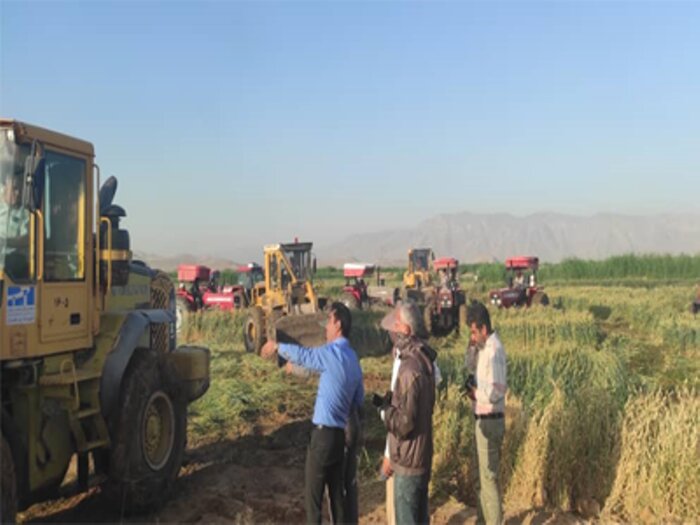 اثرگذاری گزارش ایرنا؛ از فاضلاب تا نان/ گندمهای فاضلابی در شیراز امحا شد