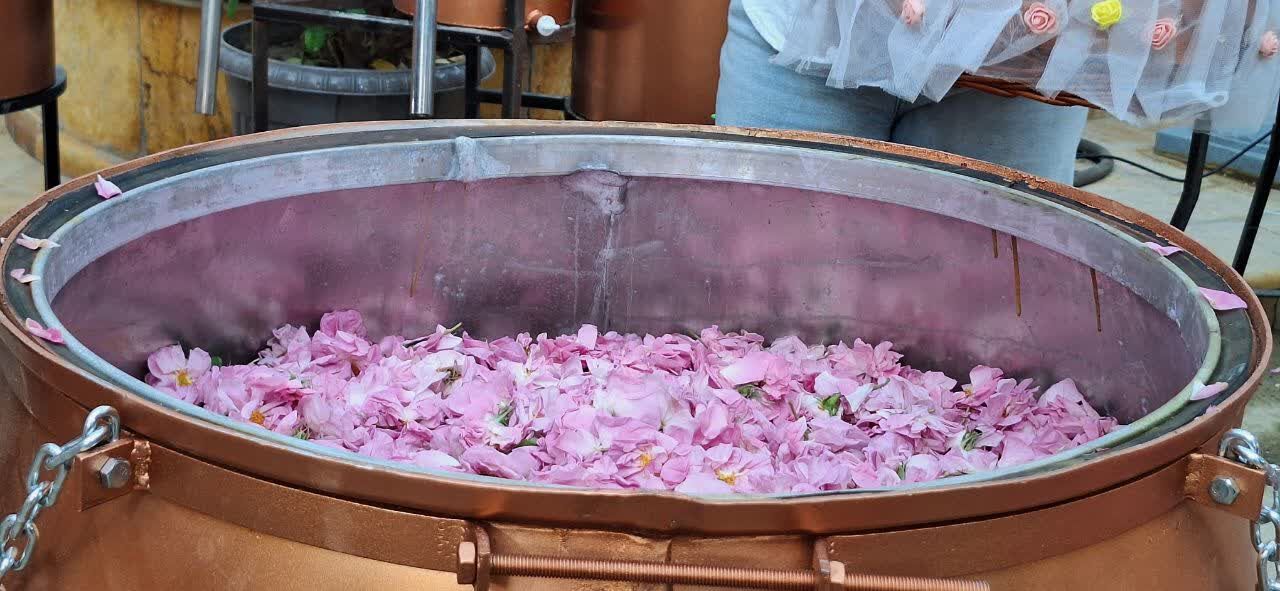 آغاز به کار جشنواره ملی گلابگیری و سوغات در کرج