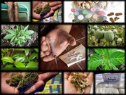 نگرانی ساکنان شهرک ولیعصر اراک؛ خرده‌فروشی مواد مخدر در کمین جوانان