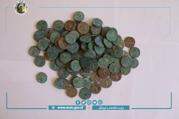 کشف ۱۰۵ سکه تاریخی در ولایت پکتیا
