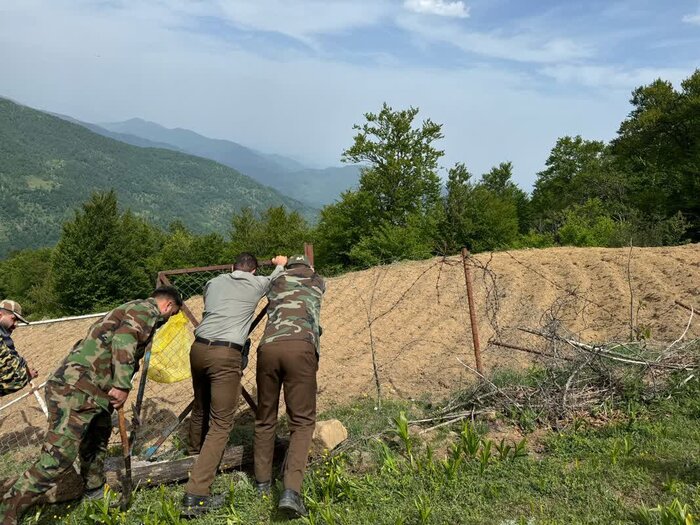 بخشی از اراضی ملی در «شیخ موسی» بابل آزاد شد