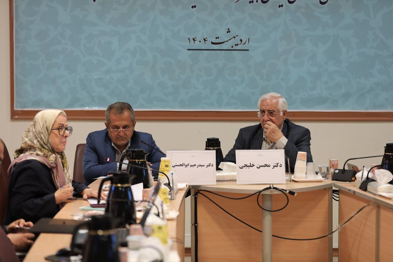 الهه کولایی: توسعه ملی و سیاست خارجی در جهان امروز ارتباطی تنگاتنگ دارند