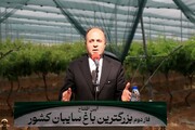 وزیر جهاد کشاورزی: ایران در ۳۰ محصول باغی رتبه‌های اول تا دهم دنیا را دارد