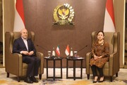 اسپیکر قالیباف: امن و سلامتی میں ایران اور انڈونیشیا کا بنیادی کردار ہے
