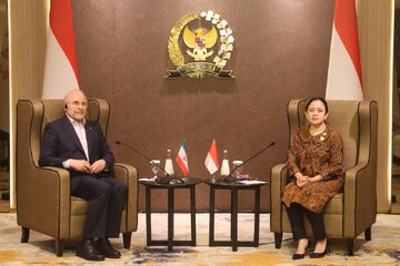 قالیباف: ایران و اندونزی نقش کلیدی در برقراری صلح و امنیت دارند