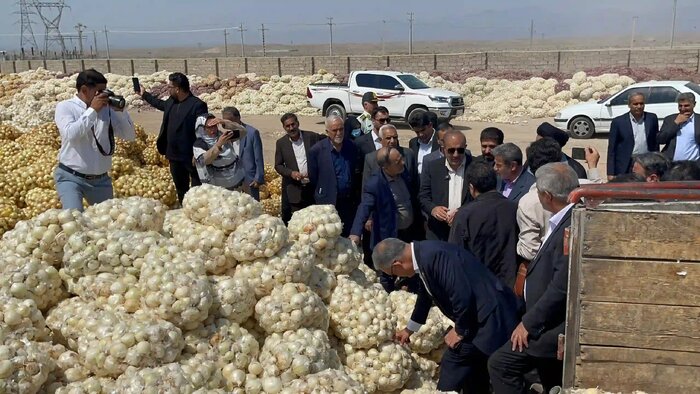 عضو کمیسیون کشاورزی مجلس: انتظارها از جهاد اما اختیار در دست سازمان برنامه است