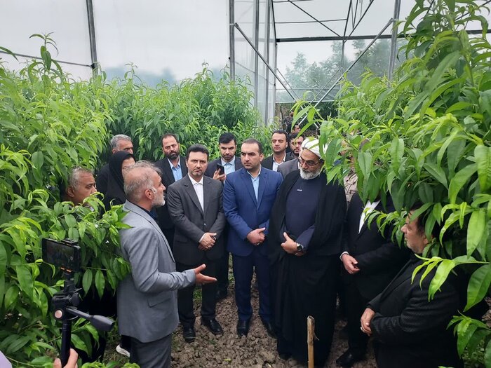 معاون قوه قضائیه: انسجام و تقویت اتحادیههای کشاورزی دست واسطهها را کوتاه میکند