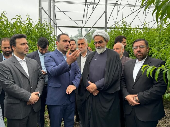 معاون قوه قضائیه: انسجام و تقویت اتحادیههای کشاورزی دست واسطهها را کوتاه میکند