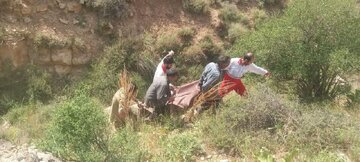 یک چوپان بر اثر سقوط از ارتفاعات شهرستان قوچان جان باخت