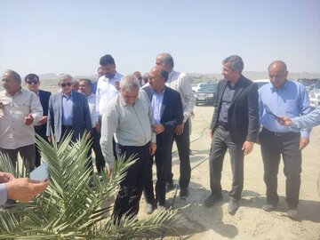 بازدید نمایندگان مجلس از بزرگترین نخلستان مجول جهان در «دشت پُلپُلک‌» بشاگرد هرمزگان