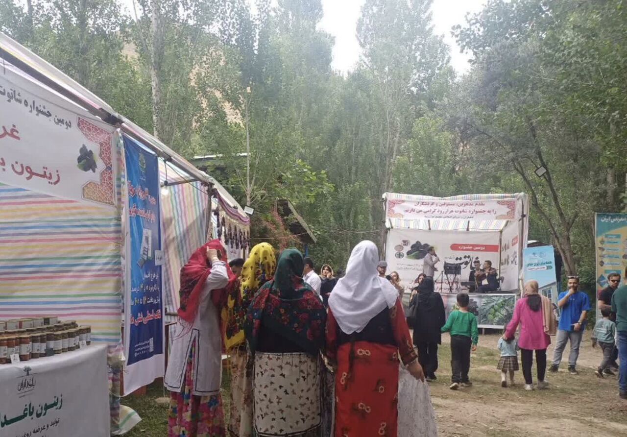 استقبال از دومین جشنواره شاتوت در روستای هزاررود طارم 