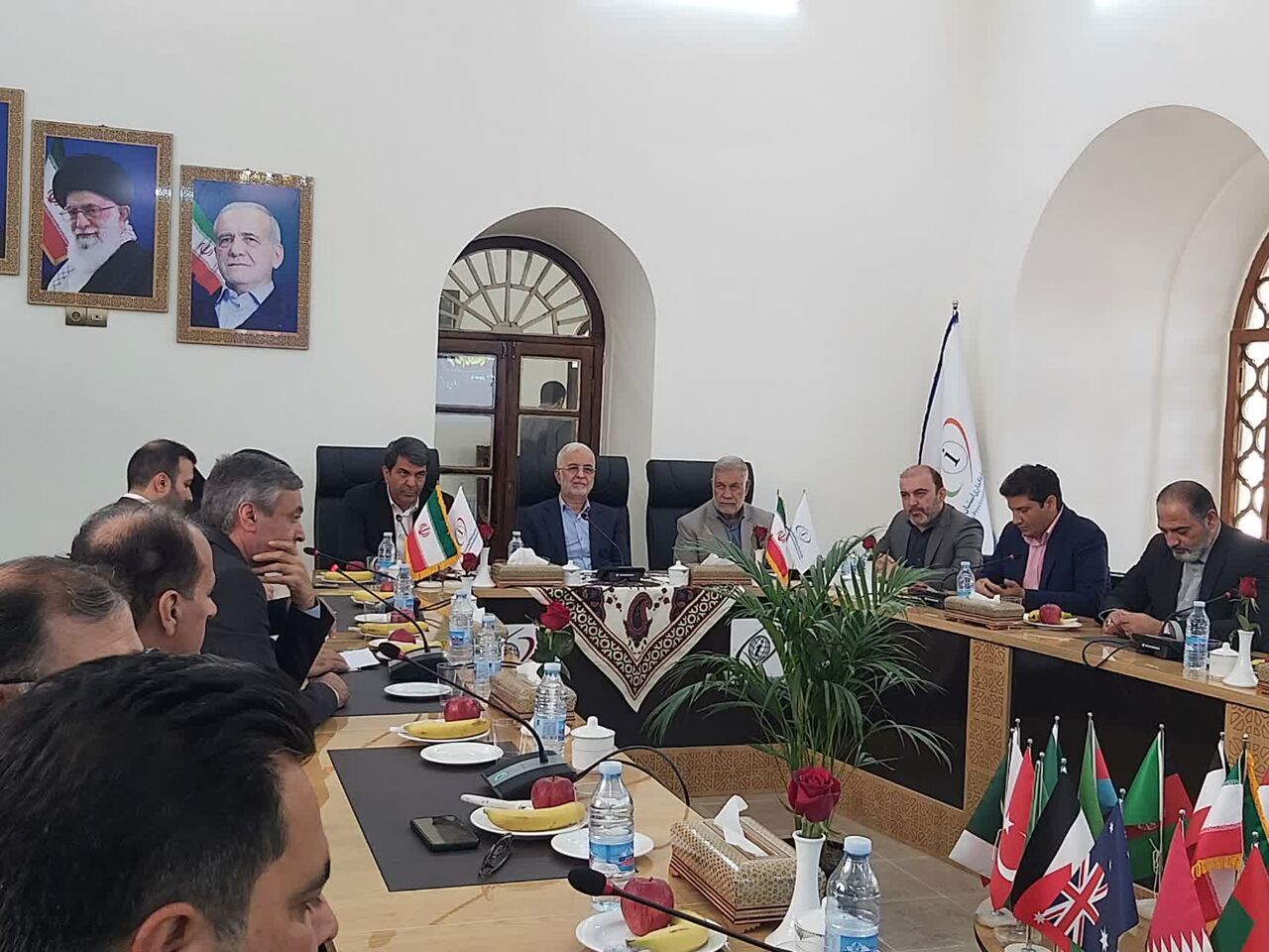 معاون اقتصادی وزیر کشور: ۲ میلیون مترمکعب گاز به گلخانه‌ها ارایه شد