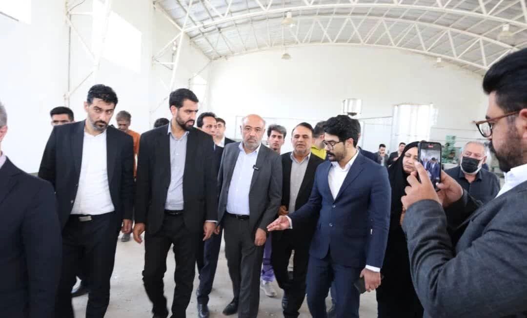 فیلم| سفر وزیر کار به جنوب کرمان