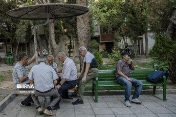 میانگین سالمندی در استان مرکزی ۱۵ درصد است