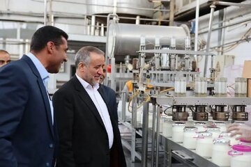 استاندار خراسان جنوبی: حمایت از واحدهای تولیدی در اولویت است