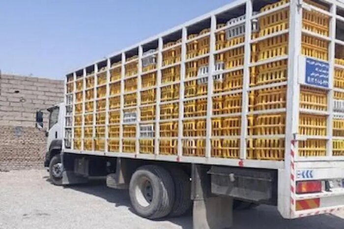 کشف ۴۰ میلیارد ریال سیگار قاچاق در گیلان