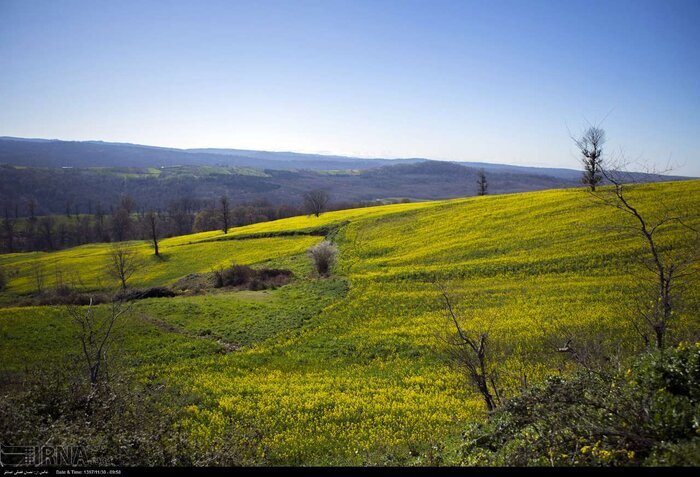 وضعیت جوی مازندران تا پایان هفته جاری چگونه است؟