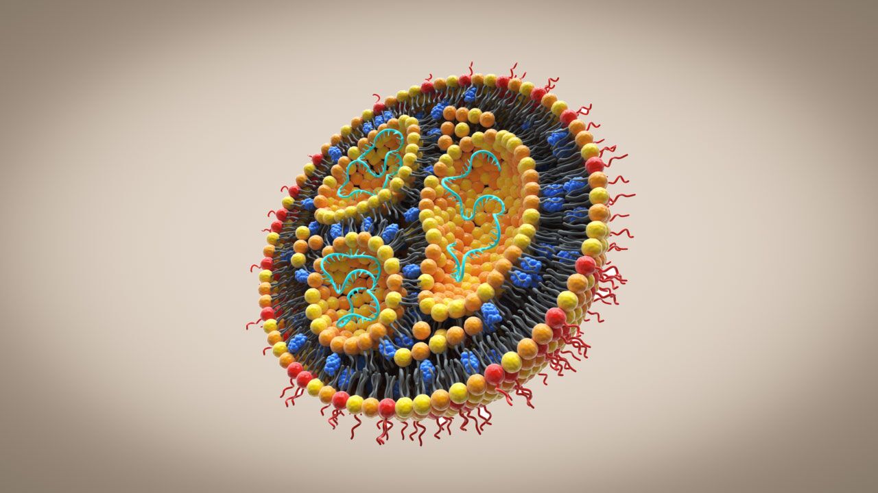 همکاری پنج شرکت برای تسریع در پیشرفت داروهای نانوذرات لیپیدی همکاری پنج شرکت برای تسریع در پیشرفت داروهای نانوذرات لیپیدی