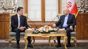 رئیس مجلس: ارتباطات اقتصادی منجر به ثبات امنیتی می‌شود