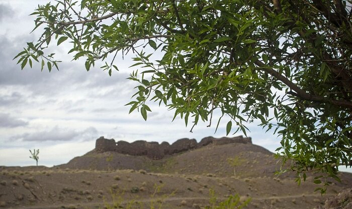 پژواک نبردهای شاهنامه در هزارتوی قلعه تاریخی زیبد گناباد