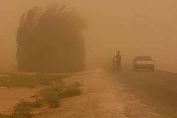 سیستان و بلوچستان روی خط تحول؛ از مهار بحران آب تا احیای زیستبومها
