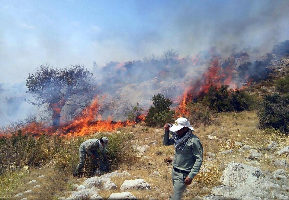 آتش‌سوزی در کنارکبوتران صیدون مهار شد