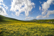 Der Frühlingszauber am Fuße des Sabalan-Gebirges