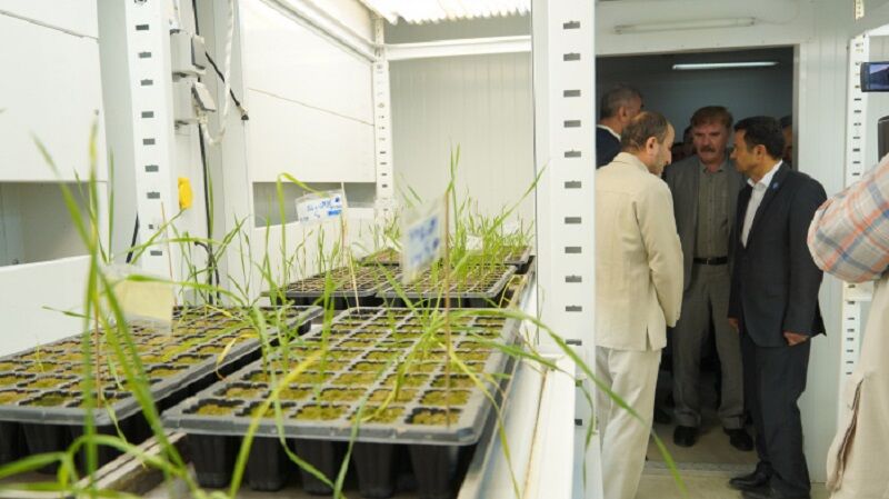 راهاندازی مرکز تخصصی نوآوری گندم کشور در دانشگاه تبریز راهاندازی مرکز تخصصی نوآوری گندم کشور در دانشگاه تبریز