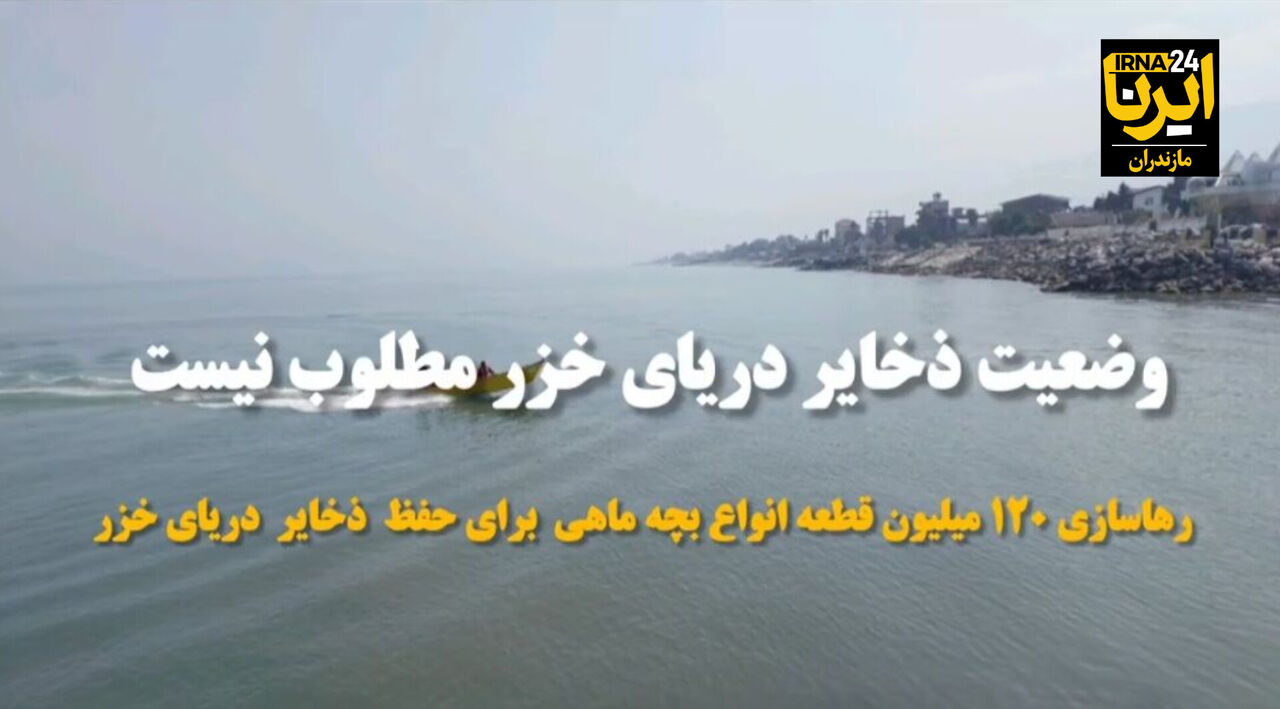 فیلم | مدیرکل شیلات مازندران: وضعیت ذخایر آبزیان دریای خزر مطلوب نیست