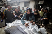Gaza : le bilan des victimes de la guerre génocidaire israélienne s’alourdit à 53 573 morts