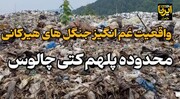 فیلم | تصاویر غم‌انگیز از جنگل‌های شمال