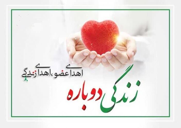 همدان؛ مقصد بیماران خارجی برای پیوند عضو