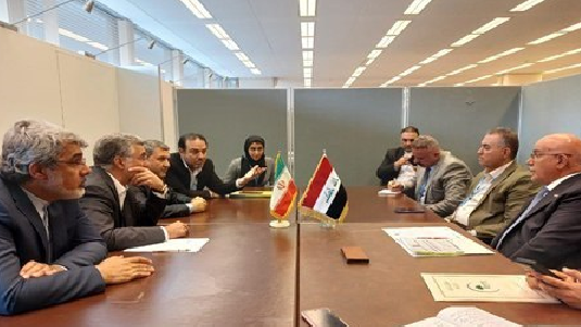 تشکیل کمیته مشترک بهداشت و درمان ایران و عراق در ایام اربعین