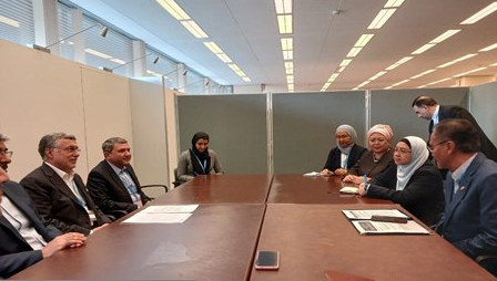 تشکیل کمیته مشترک بهداشت و درمان ایران و عراق در ایام اربعین