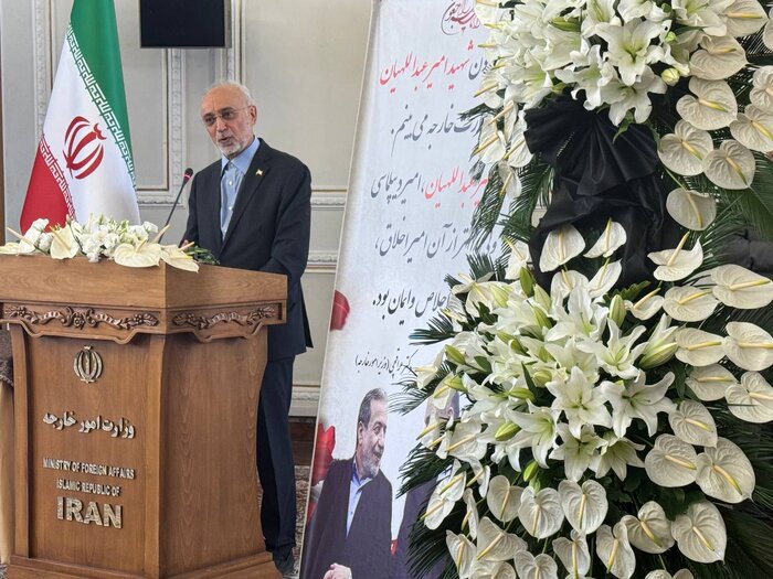 علی‌اکبر صالحی: شهید امیرعبداللهیان به دیپلماسی مقاومت اعتقاد راسخ داشت