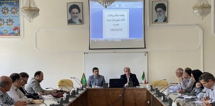 بیش از ۹ هزار و ۵۰۰ هکتار از مزارع تربت حیدریه زیر کشت غلات است