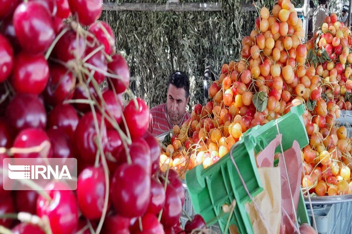 تلخی گرانی زیر پوست میوه‌های نوبرانه خراسان‌شمالی