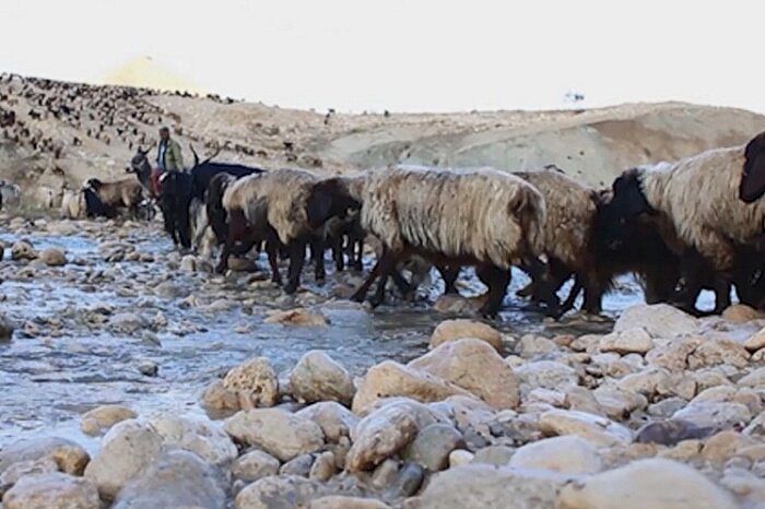 ورود غیرقانونی عشایر به منطقه تار دماوند با برخورد قانونی روبرو شد