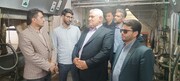 فرماندار: خام‌فروشی مشکل مهم کشاورزی در تایباد است