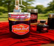 رونمایی از ثبت و تولید عصاره طبیعی پابریکا توسط گوشتیران در ۱۰۰ سالگی