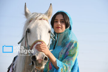 Purebred Iranian horse breeds’ competition